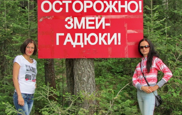 Осторожно: змеи и гадюки