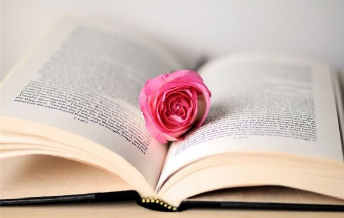 книга